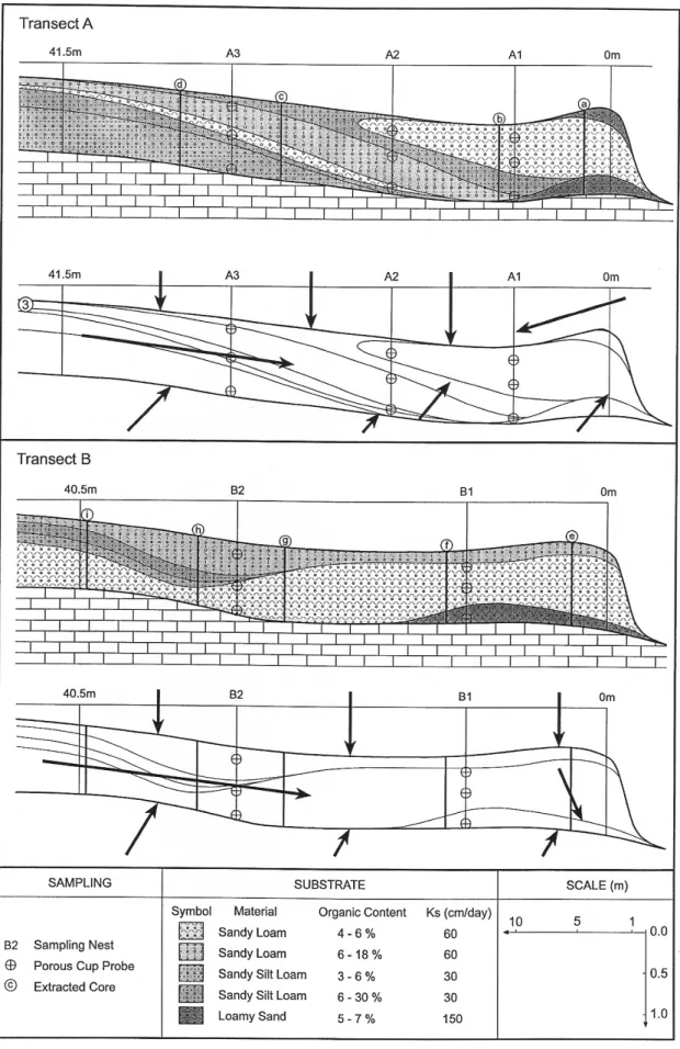 Fig. 3. Stratigraphic sections across Transects A and B; with inferred water-pathways.