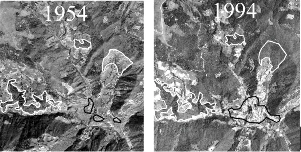 Fig. 6.  Comparison of two aerial photographs taken in the mountain part of the Mella basin in 1954 (left) and 1994 (right)