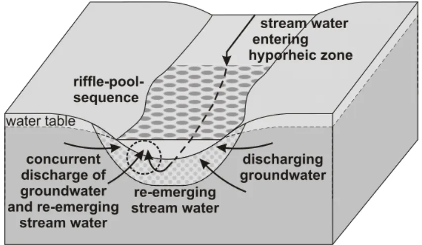 Fig. 2. Exchange flows between groundwater and surface water through the hyporheic zone at a riffle-pool-sequence (after Winter et al., 1998).