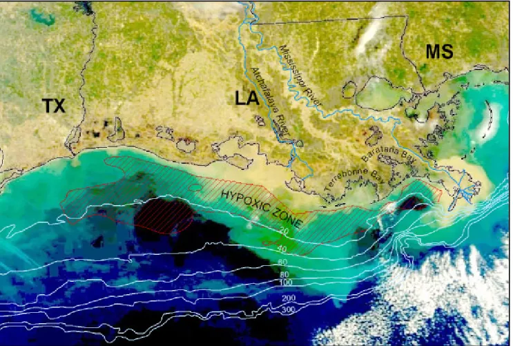 Fig. 1. The measured extent of hypoxia in 2002 (Louisiana Universities Marine Consortium, 2002) in the Northern Gulf of Mexico (Space Science and Engineering Center, 2002)