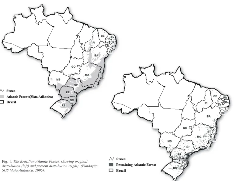 Fig. 1. The Brazilian Atlantic Forest, showing original distribution (left) and present distribution (right)