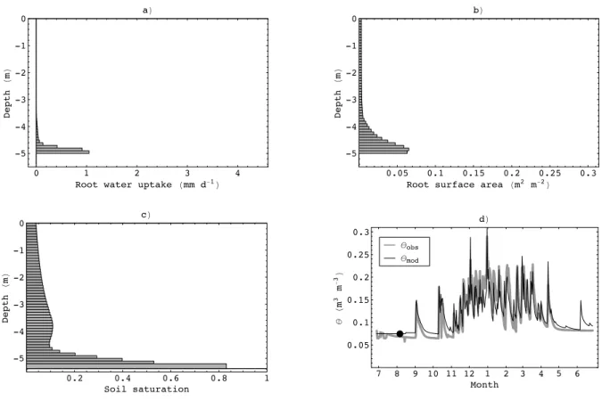 Fig. 3. Simulated below-ground conditions 40 days after model initialisation. Vertical soil profiles show values for each soil layer between the surface and the variable water table