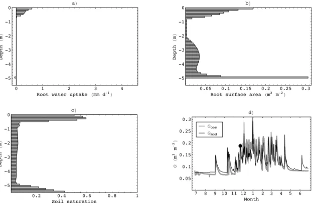 Fig. 4. Simulated below-ground conditions at the onset of the wet season rains (147 days after model initialisation)