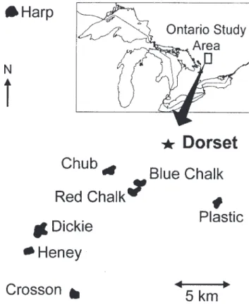 Fig. 2. Location of lakes studied near the town of Dorset (*), and in reference to South Central Ontario (inset).