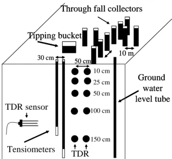 Fig. 1. Schematic view of the experimental setup of TDR sensors, tensiometers, throughfall collectors, tipping bucket for total rainfall, and water table observation tube.