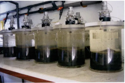 Fig. 1. Benthic chambers used in laboratory studies.