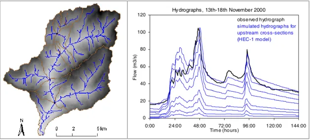 Fig. 3. River flow hydrograph and precipitation on the Koritnica basin.