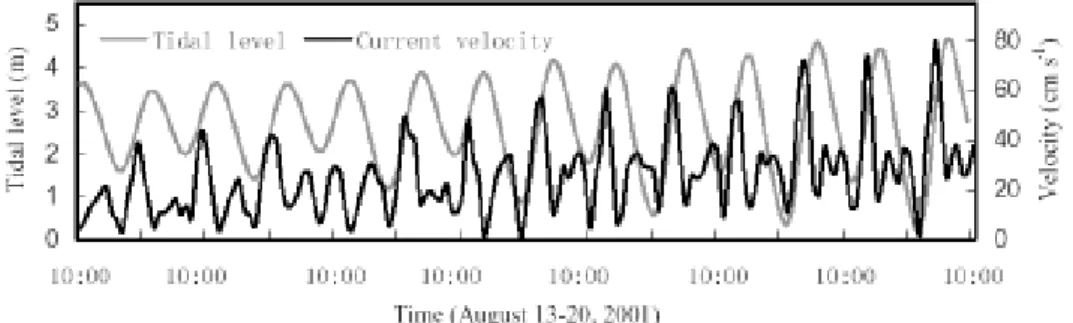 Table 1. Mean current velocity and SSC in different tidal conditions