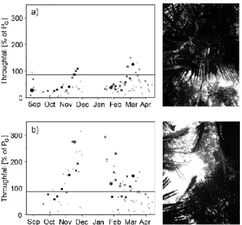 Fig. 3. Temporal patterns of throughfall percentages of incident rainfall for two collectors standing only 5 m apart from each other.
