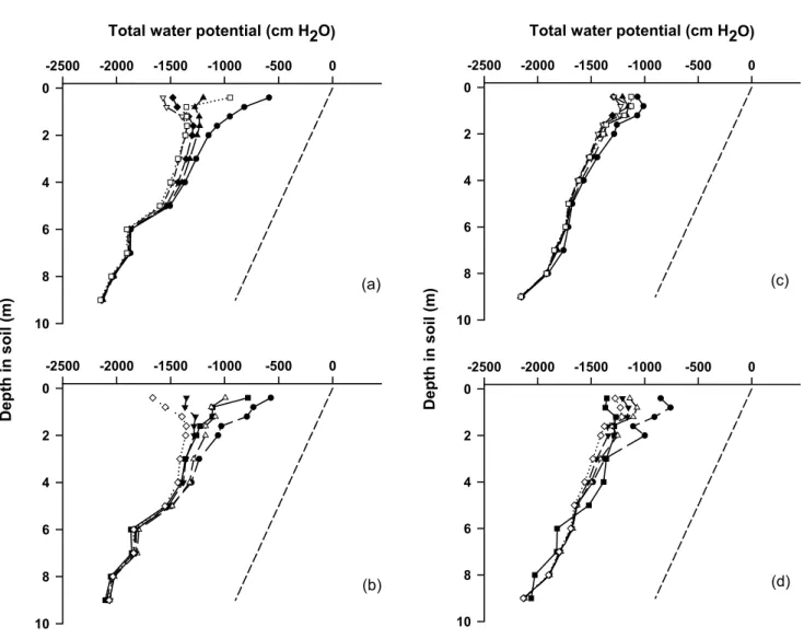 Fig. 4. Depth profiles of total soil water potential below deciduous woodland at Black Wood in 1999