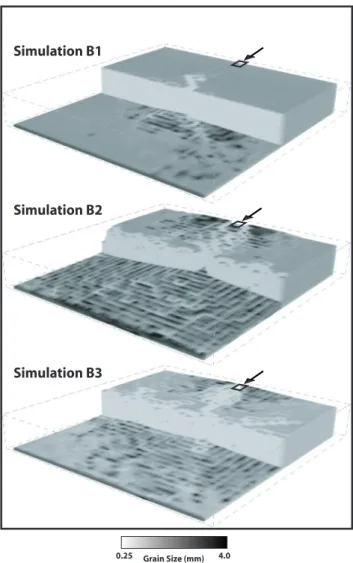 Fig. 6. Surface grain size distribution at the end of simulations B1, B2 and B3.