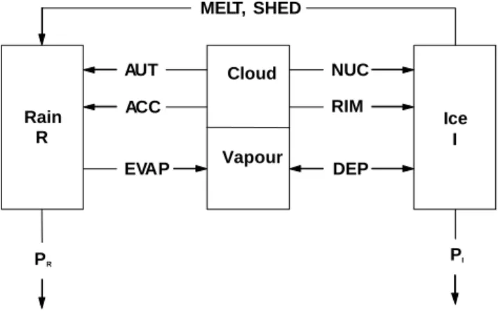 Fig. 2. Schematic diagram of parameterised cloud microphysics: