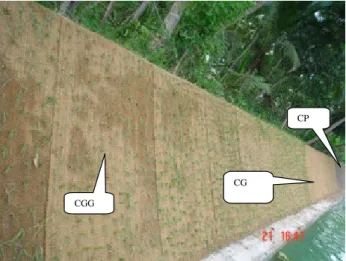 Fig. 1. Side of pond with different treatments.