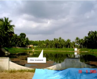 Fig 2. Pond after treatment 