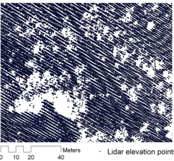 Fig. 3. Miozza basin landslide scars identified from aerial photog- photog-raphy: illustration of a landslide complex.