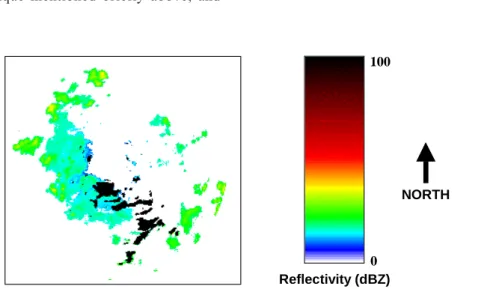 Figure  1  shows  a  typical  radar  image  of  widespread relatively low intensity rainfall at Bethlehem, South Africa, in summer
