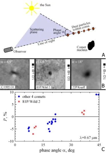 Figure 1C shows the phase dependence of the degree of linear polarization of the circumnucleus haloes of  dif-ferent comets adapted from Hadamcik &amp; Levasseur-Regourd (2003b) for comets 81P/Wild 2, C/1995 O1 (Hale-Bopp), C/1990 K1 (Levy), 47P/Ashbrook-J