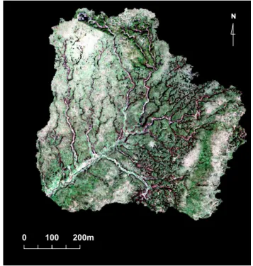 Fig. 1. Location of study site Upper North Grain (UNG) in the Southern Pennines.