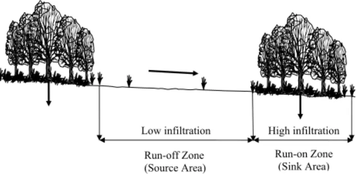 Fig. 1. Schematic diagram of the effect of banded vegetation pat- pat-terns on flow redistribution.