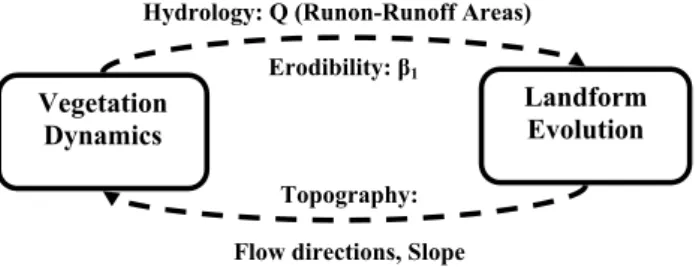 Fig. 2. Schematic diagram showing the flow of information between the coupled models.