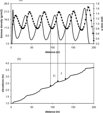 Fig. 4. Longitudinal profile of a banded vegetation pattern, the x axis shows distance from the bottom of the hillslope, (a) simulated distribution of biomass density (solid line) and runoff (dots), (b) simulated elevations after 500 years