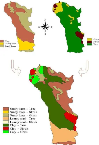 Fig. 4. Spatial pattern of soil texture (top left) and vegetation (top right) for the Eleuterio river basin and theirs spatial overlay (at  bot-tom).