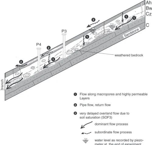 Fig. 4. Hillslope profile of Willerzell Hang, showing the identified flow processes.