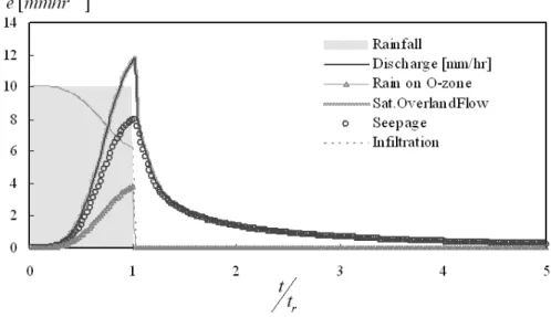 Fig. 8. Saturated overland flow and discharge at the channel outlet as the integrated response of all processes happening in the catchment.