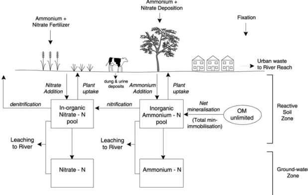 Figure  1  shows  the  principal  sources,  sinks  and transformation processes that affect N in upland and lowland systems