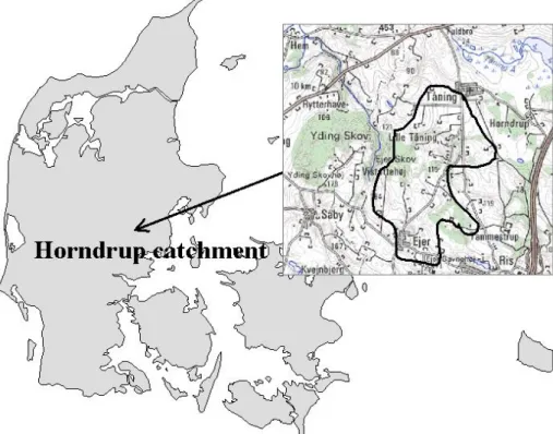 Fig. 1. Location of the Horndrup catchment, Denmark.