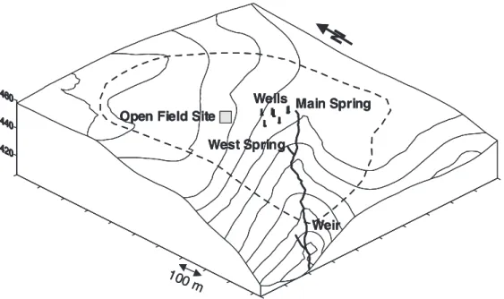 Fig. 1. Map of the Steinkreuz catchment. Contour lines at 10 m interval, the altitude is given at the left axis (m a.m.s.l.)