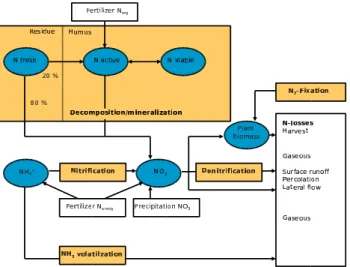 Fig. 2. Conceptualisation of the new SWAT-N version (modified after Pohlert et al., 2006).