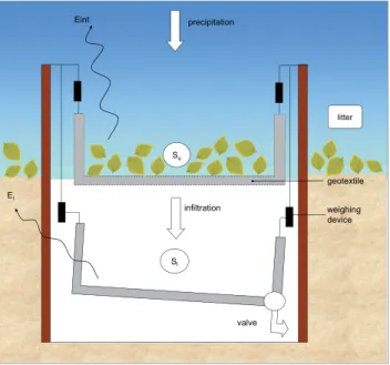 Fig. 1. Overview of the beech plot in the Huewelerbach catchment (Luxembourg).