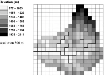 Fig. 2. SHETRAN grid network, channel system and elevation distribution for the Ijuez catchment.