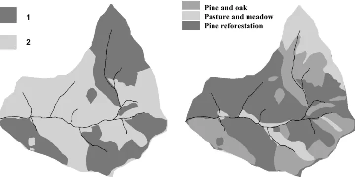 Fig. 3. The soil map created for the Ijuez catchment. Details of the two soil types are shown in Table 1.