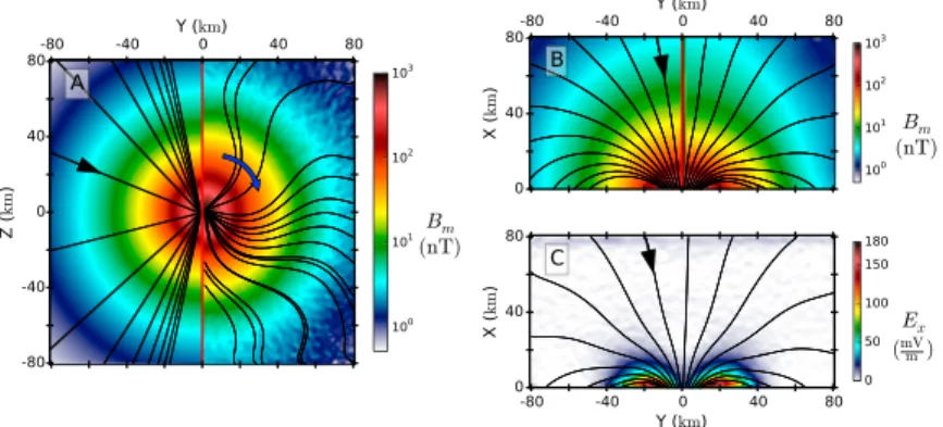 Figure 1. Two-dimensional proﬁles of the magnetic and electric ﬁeld conﬁgurations. Superimposed in black are projected magnetic ﬁeld lines