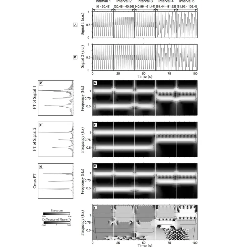 FIGURE 4 | Wavelet transform analysis and cross-wavelet transform (CWT) analysis of time-series (s 1 and s 2 )