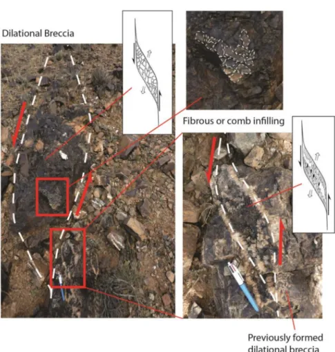 Figure 5. Superposition of dilational breccia texture and fibre/comb ones within similar left-lateral pull-apart structures (see text for explanation of the cause of occurrence of fibrous or breccia texture).