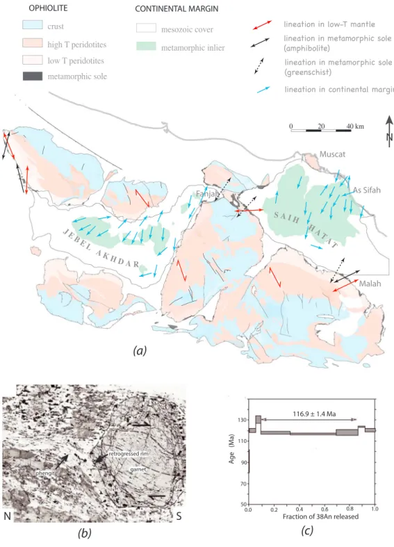 Figure 6. (a) Stretching lineations recorded in the continental margin, pre-Permian windows (this study) and Mesozoic cover (Le Métour et al., 1990) in Jebel Akhdar, and in lower and upper nappes from Saih Hatat (Gray, Miller, et al., 2004;