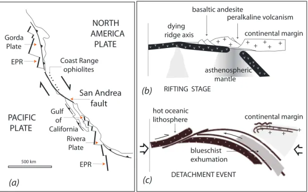 Figure 8a). The central part of this region is a slab-free zone or slab gap (Atwater &amp; Severinghaus, 1989), where the continent-oriented subduction is converted into strike-slip movement (e.g., Fletcher et al., 2007) that  con-trols the San Andrea faul