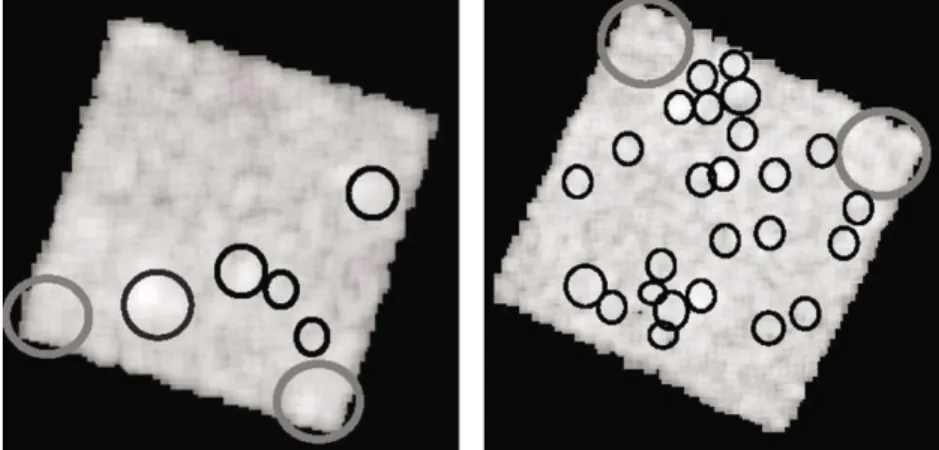 Figure 2. XIS1 image of MBM20 (left) and EH (right) in the energy range 0.5–2.0 keV. Point sources (black circle) and corners of the detector (gray circles) have been removed for the analysis.