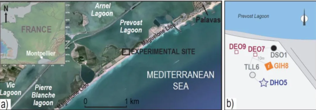 Fig. 1. Geographical location (a) of the Maguelone experimental site along the Gulf of Lion margin