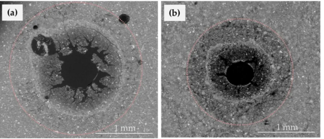 Figure  5.  ESEM  images  that  compare  the  cement  alteration  after  ≈  70  h  of  experiment  for  two 