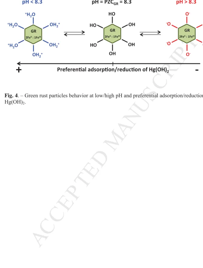 Fig. 4. – Green rust particles behavior at low/high pH and preferential adsorption/reduction of Ͷ