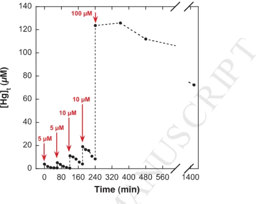 Fig. 6. Kinetics of the Hg II  reduction by biologically synthesized hydroxycarbonate green rust 