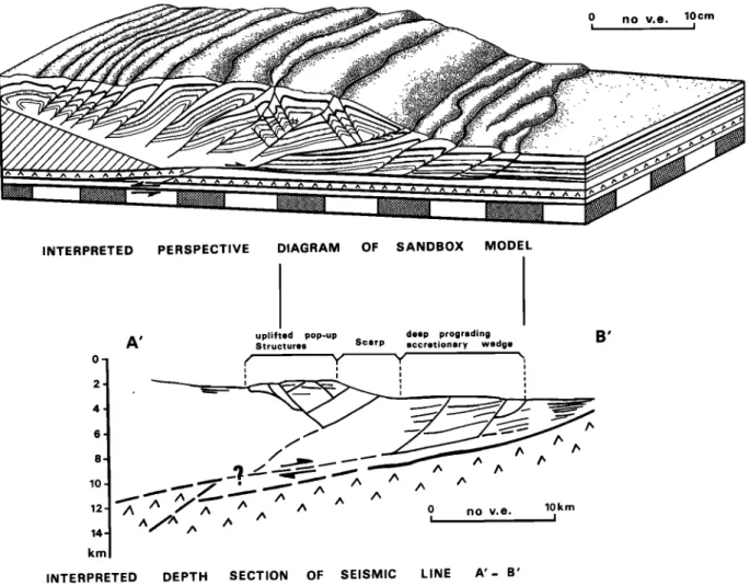 Fig. 12. Comparison  between  the last  stage  of the basement  slice  subduction  experiment  (see  Figure  6d)  and the geological  cross  section  in the eastern  Nankai  accretionary  wedge  deduced  from seismics