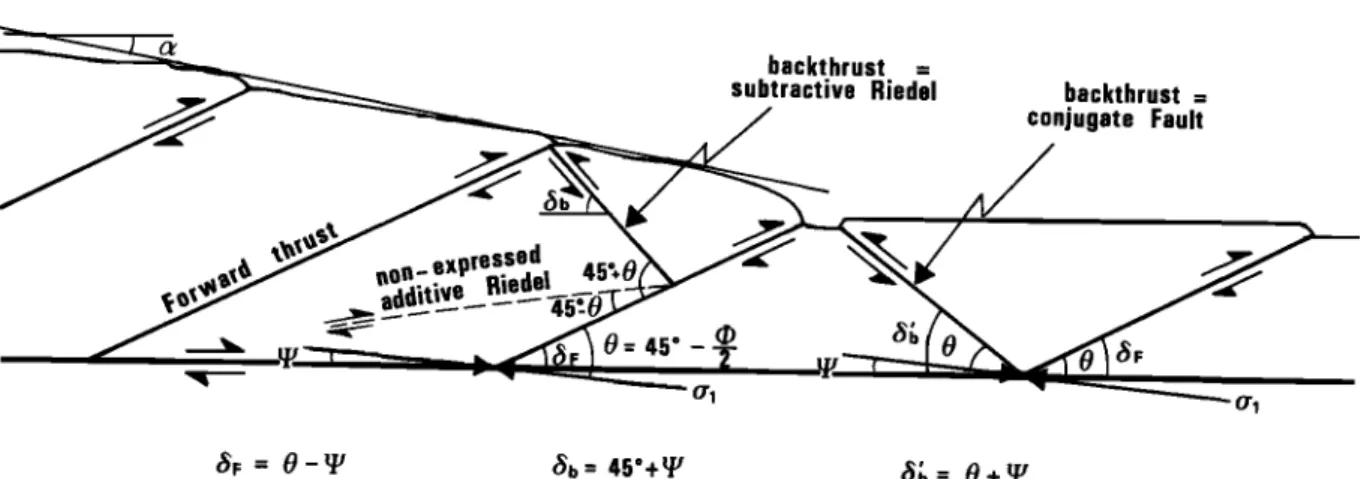 Fig. 3. Diagram illustrating  the most common  faults appearing  during the growth of a sand accretionary  wedge