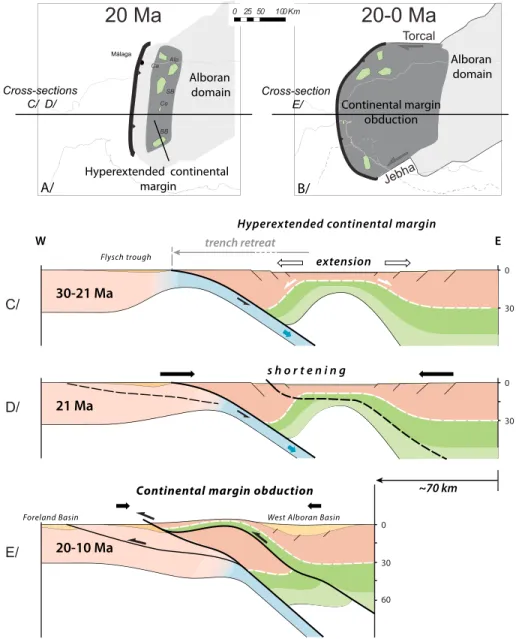 Figure 6. Schematic description of continental margin obduction process. (a) Restored geometry at 20 Ma of the Alboran domain after back ‐ rotation of the peridotite bodies (modi ﬁ ed from Gueydan &amp; Frasca, 2017)