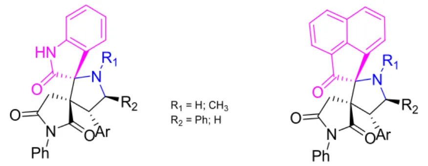 Figure 2. Examples of bioactive molecules containing succinimide unit.