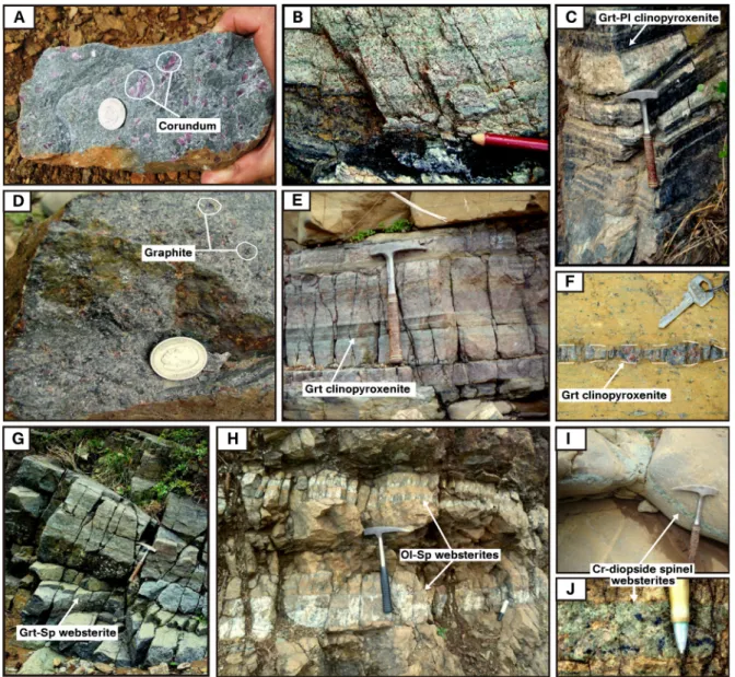 Fig. 2. Photographs of representative samples and ﬁeld occurrences of the Beni Bousera pyroxenites